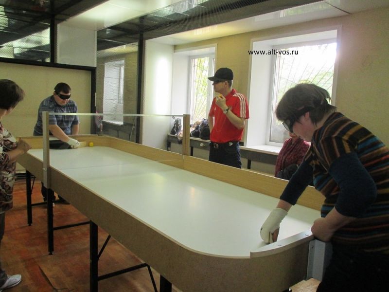 В Бийске появился первый профессиональный стол для игры в шоудаун - настольный теннис слепых